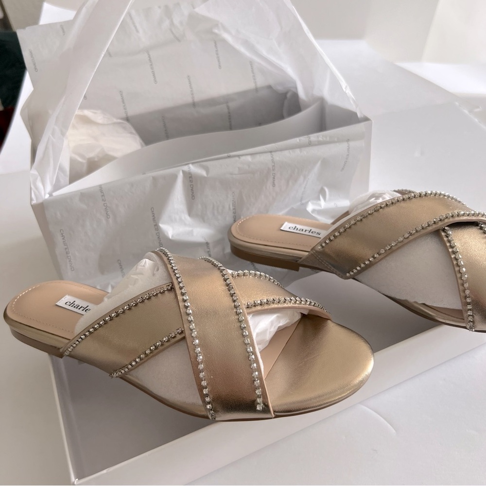 CHARLES DAVID KENYA EMBELLISHED METALLIC LEATHER FLAT SANDALS SIZE 9 NEW IN BOX - Picture 4 of 12